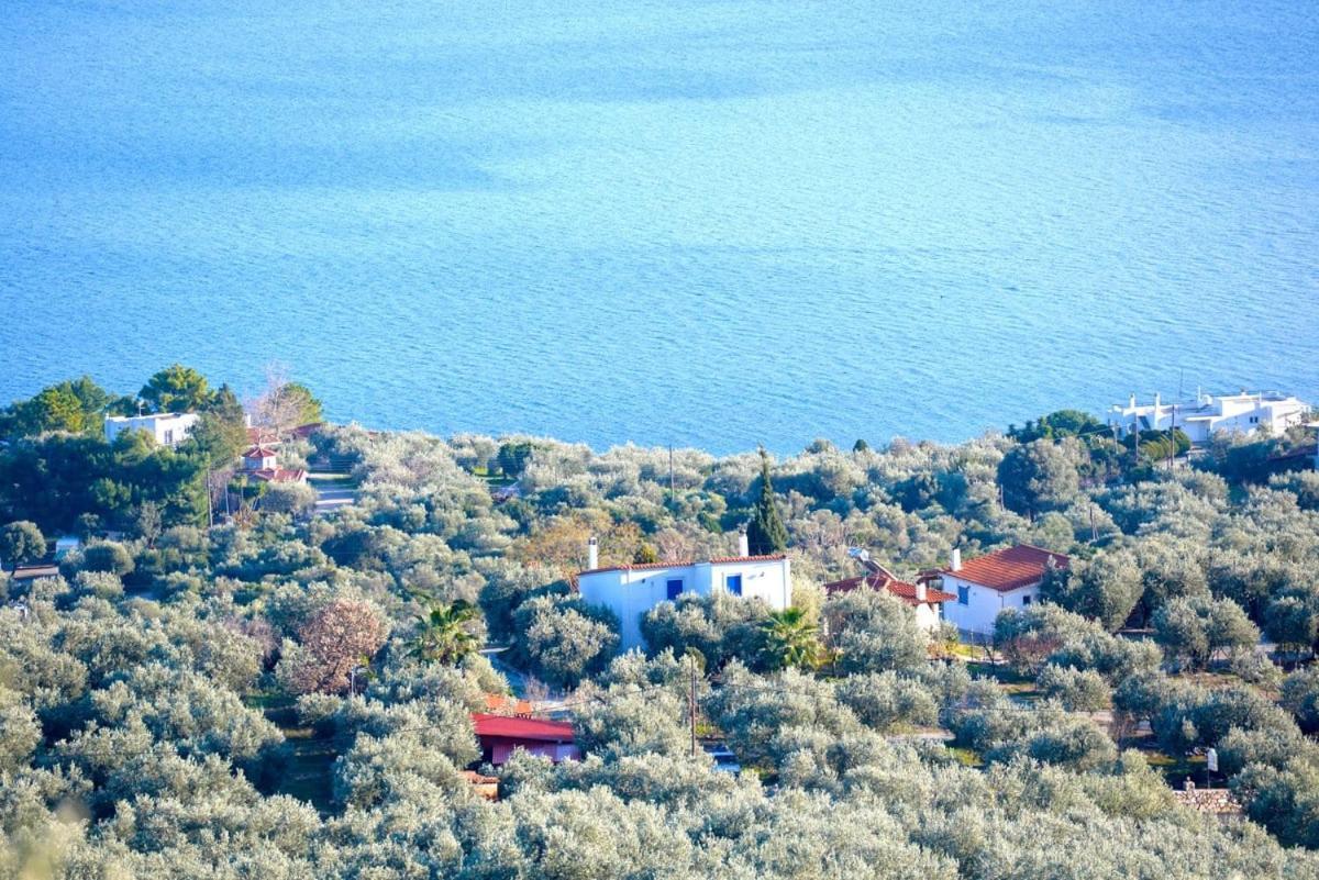 Holiday home Four Independence By The Sea *