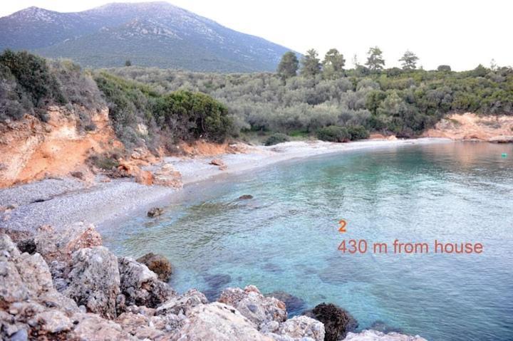 Four Independence By The Sea *